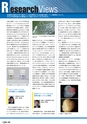 News&Views 創刊号 vol.1 Jan, 2015