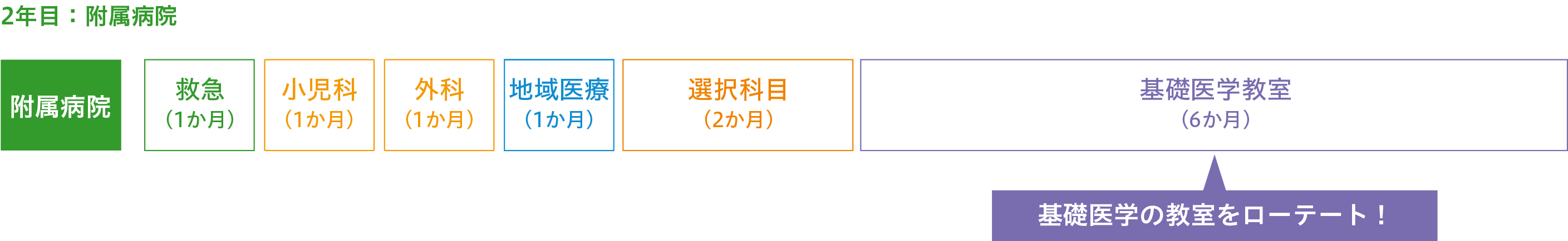基礎研究医プログラム